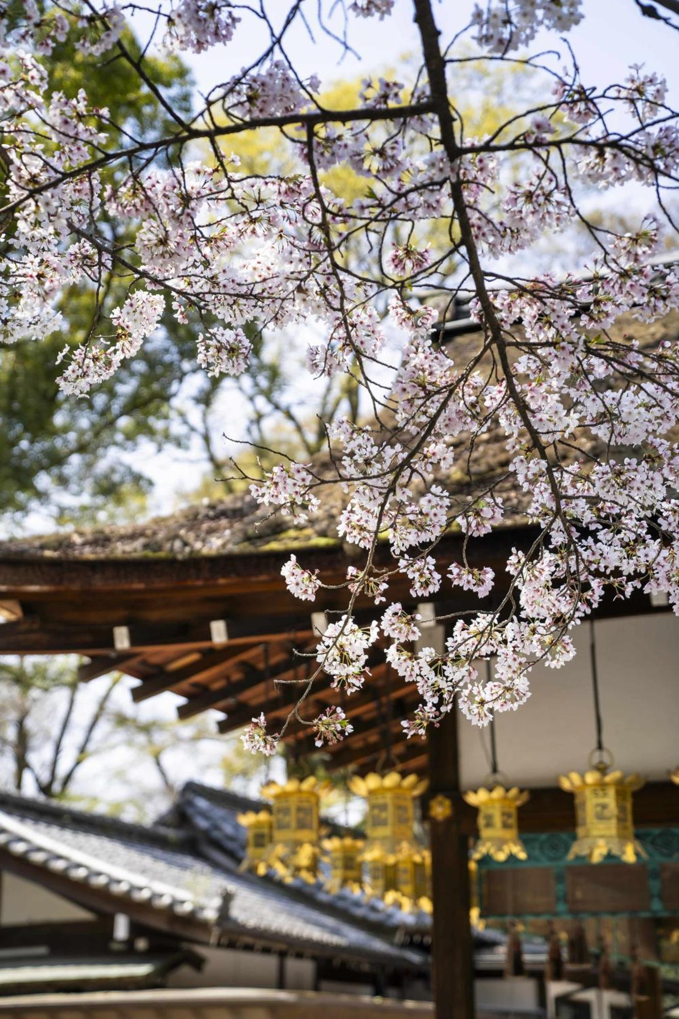 Kamo Residences By Reflections Kyoto Exterior photo